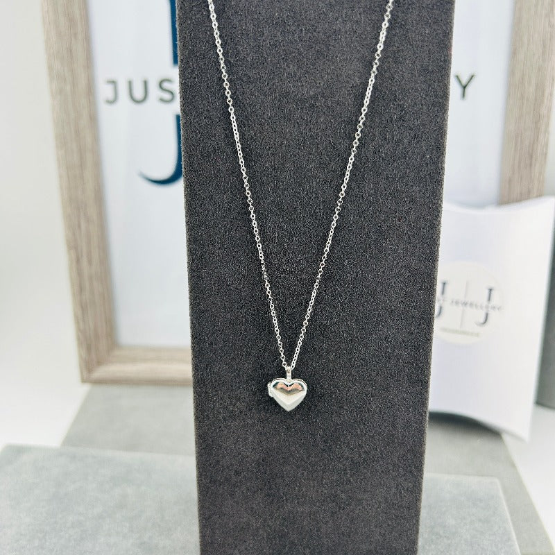 Mini Heart Locket Necklace